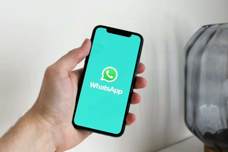 whatsapp tracking online